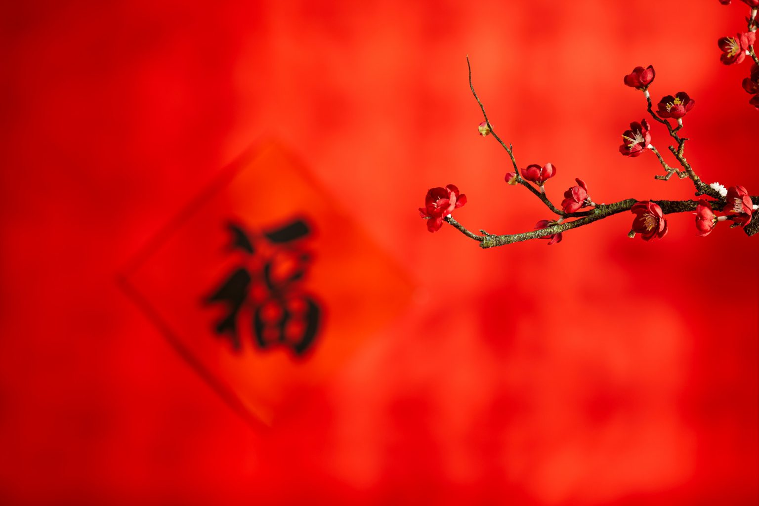 5 Reasons To Study In China Daini 5 Reasons To Study In China Daini